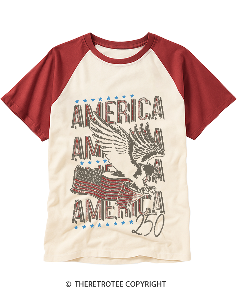 TheRetroTee 250 Years America Raglan Baseball T-Shirt