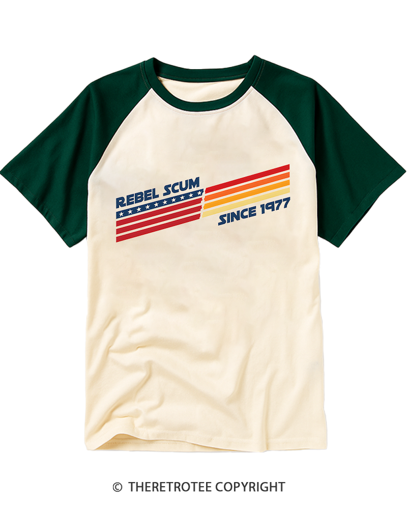 TheRetroTee Classic Stripes Since 1970s Raglan Baseball T-Shirt