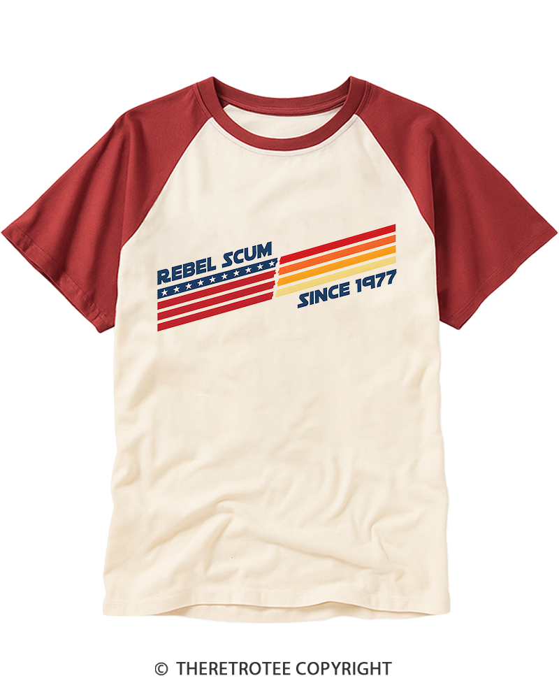 TheRetroTee Classic Stripes Since 1970s Raglan Baseball T-Shirt