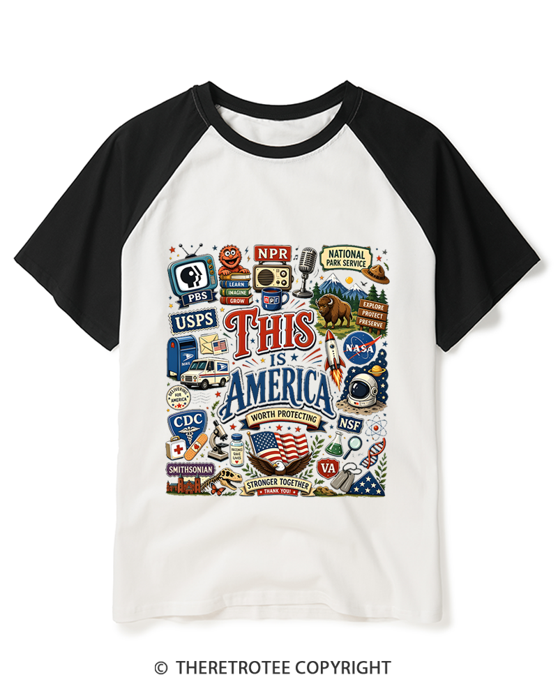 TheRetroTee This is America Protect Democratic Institutions PBS NPR Raglan Baseball T-Shirt