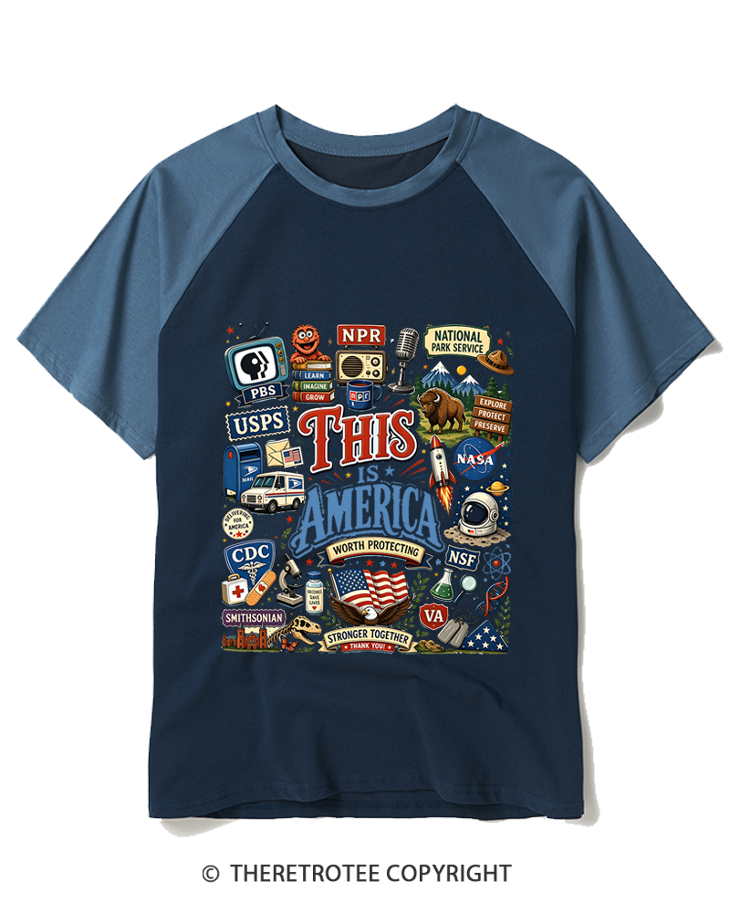 TheRetroTee This is America Protect Democratic Institutions PBS NPR Raglan Baseball T-Shirt
