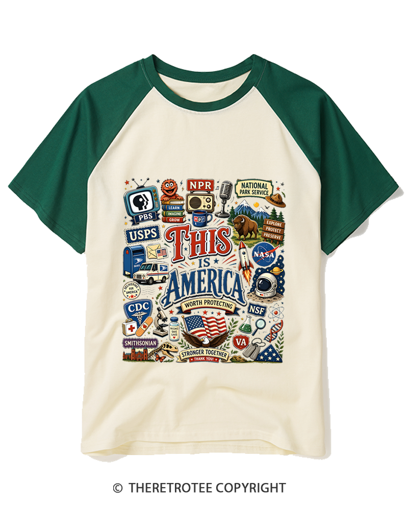 TheRetroTee This is America Protect Democratic Institutions PBS NPR Raglan Baseball T-Shirt