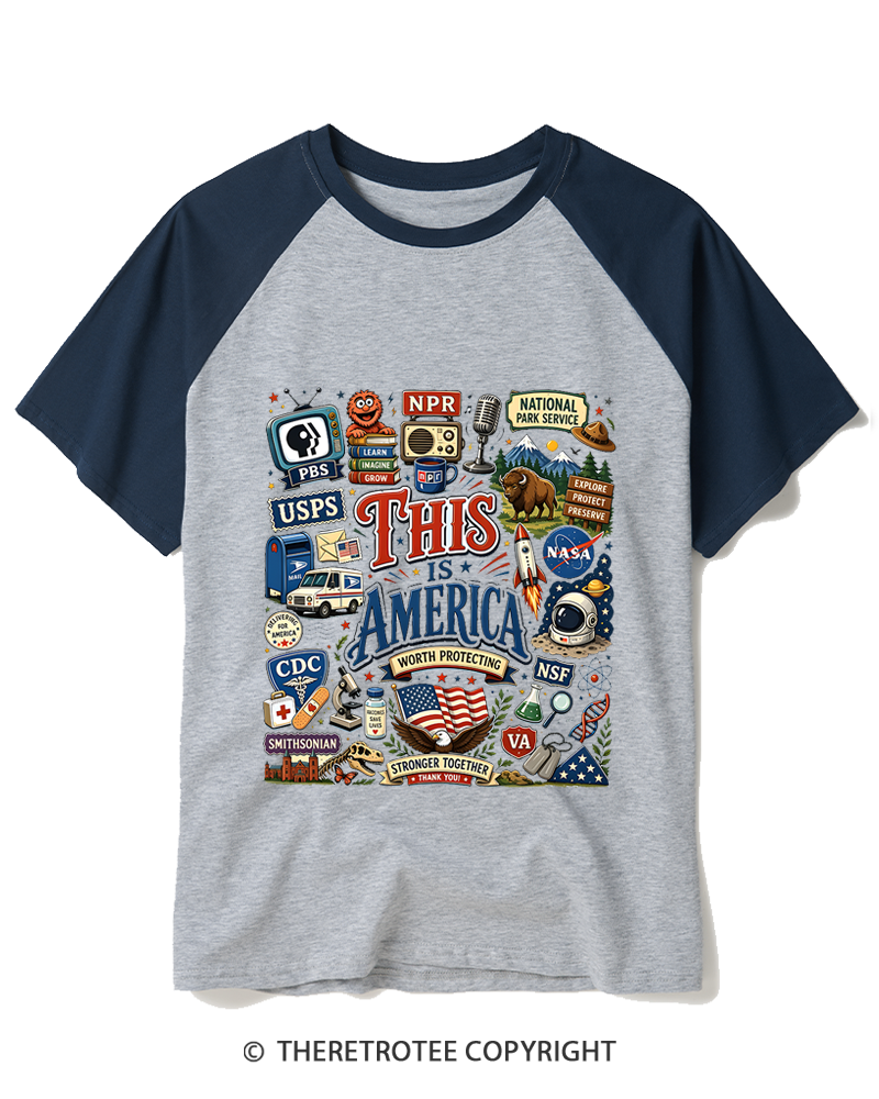 TheRetroTee This is America Protect Democratic Institutions PBS NPR Raglan Baseball T-Shirt