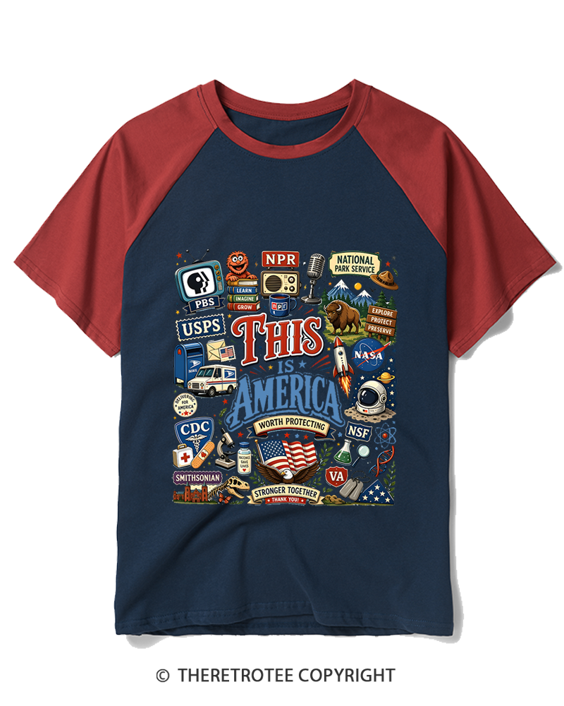 TheRetroTee This is America Protect Democratic Institutions PBS NPR Raglan Baseball T-Shirt