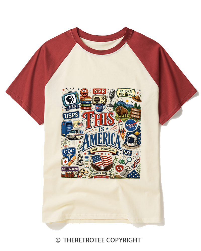 TheRetroTee This is America Protect Democratic Institutions PBS NPR Raglan Baseball T-Shirt