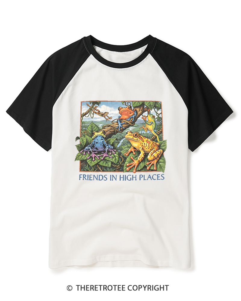 TheRetroTee Friends In High Places 1970s Raglan Baseball T-Shirt