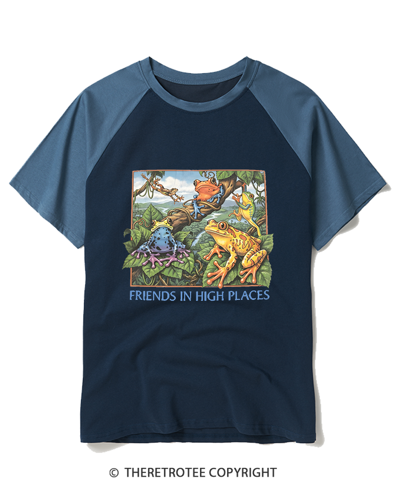TheRetroTee Friends In High Places 1970s Raglan Baseball T-Shirt