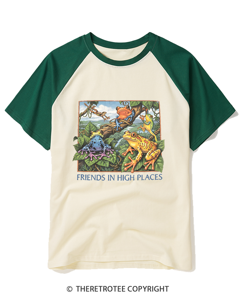 TheRetroTee Friends In High Places 1970s Raglan Baseball T-Shirt