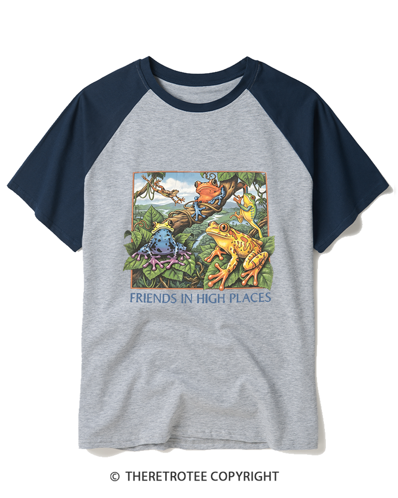 TheRetroTee Friends In High Places 1970s Raglan Baseball T-Shirt