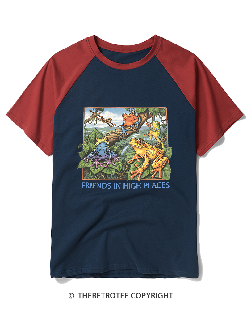 TheRetroTee Friends In High Places 1970s Raglan Baseball T-Shirt