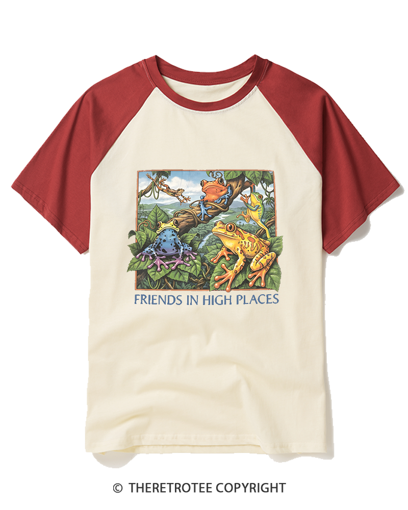 TheRetroTee Friends In High Places 1970s Raglan Baseball T-Shirt
