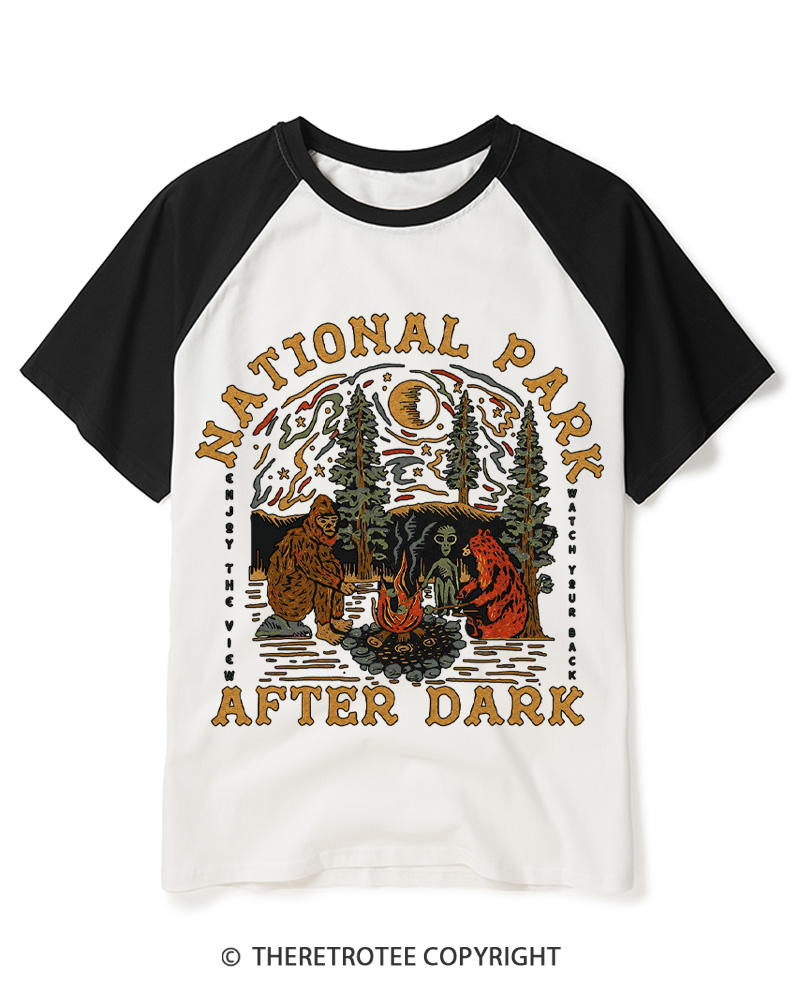 TheRetroTee National Park After Dark  1980s Raglan Baseball T-Shirt