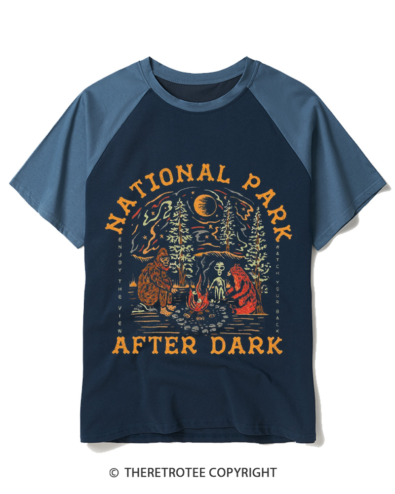 TheRetroTee National Park After Dark  1980s Raglan Baseball T-Shirt