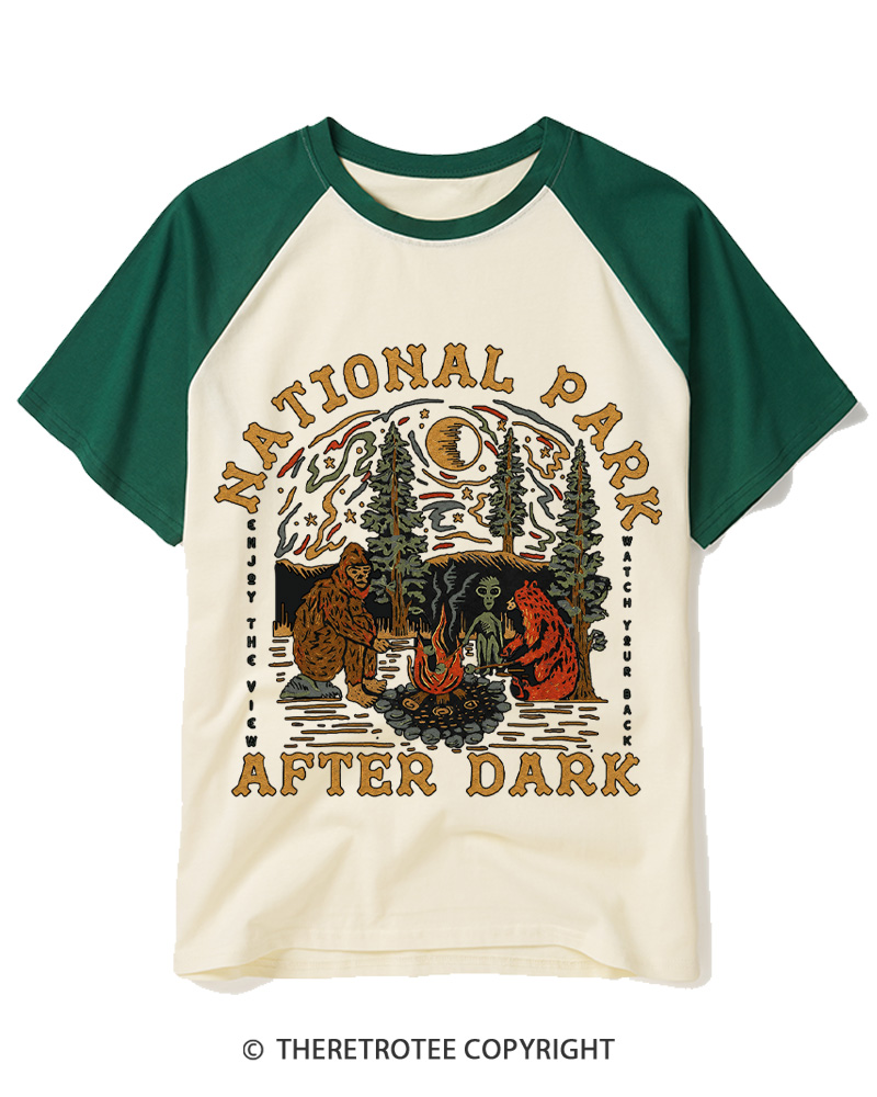 TheRetroTee National Park After Dark  1980s Raglan Baseball T-Shirt