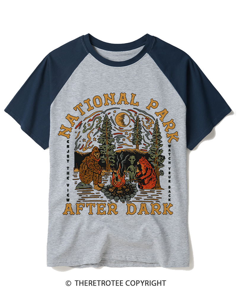 TheRetroTee National Park After Dark  1980s Raglan Baseball T-Shirt