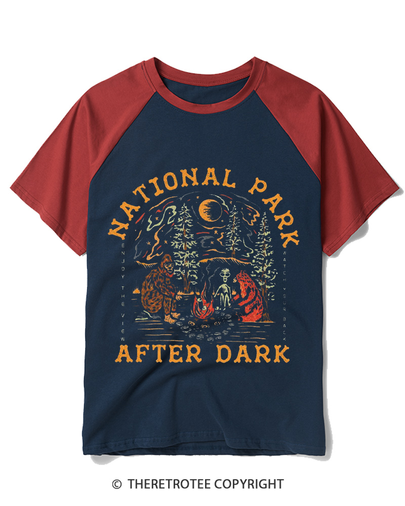TheRetroTee National Park After Dark  1980s Raglan Baseball T-Shirt