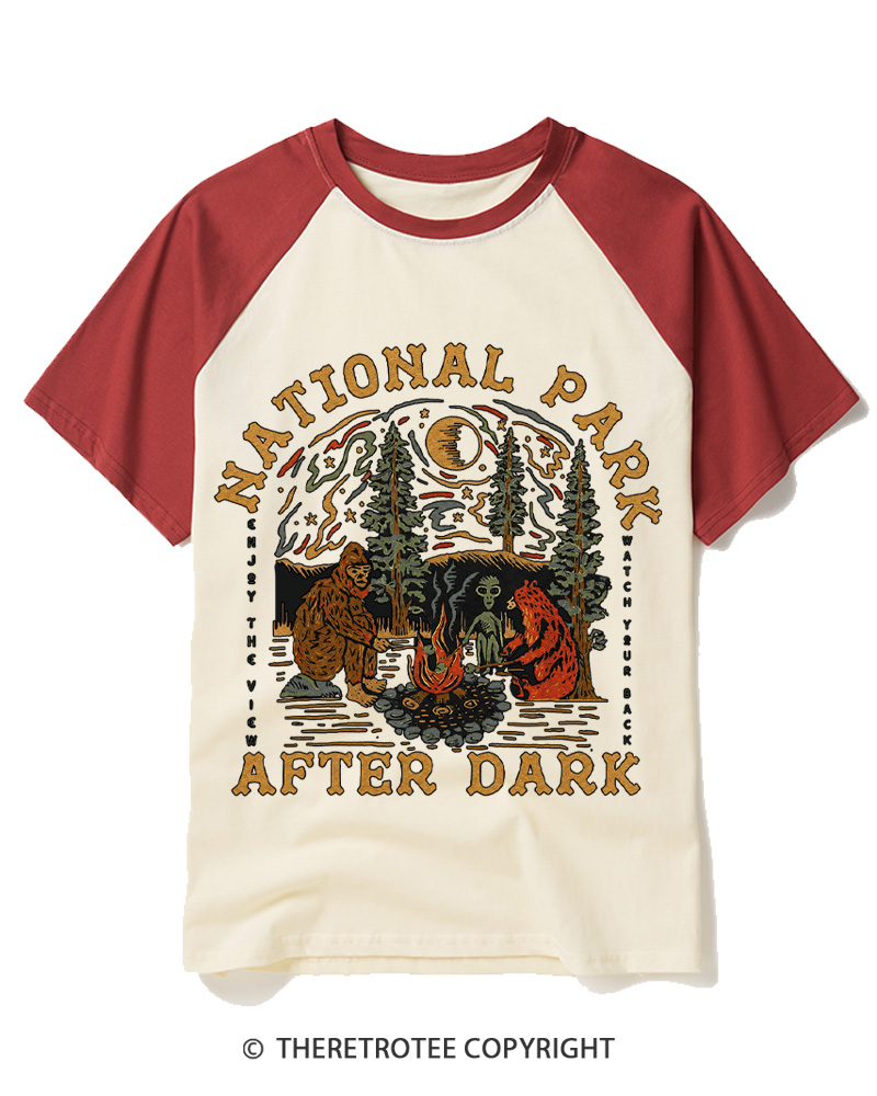 TheRetroTee National Park After Dark  1980s Raglan Baseball T-Shirt