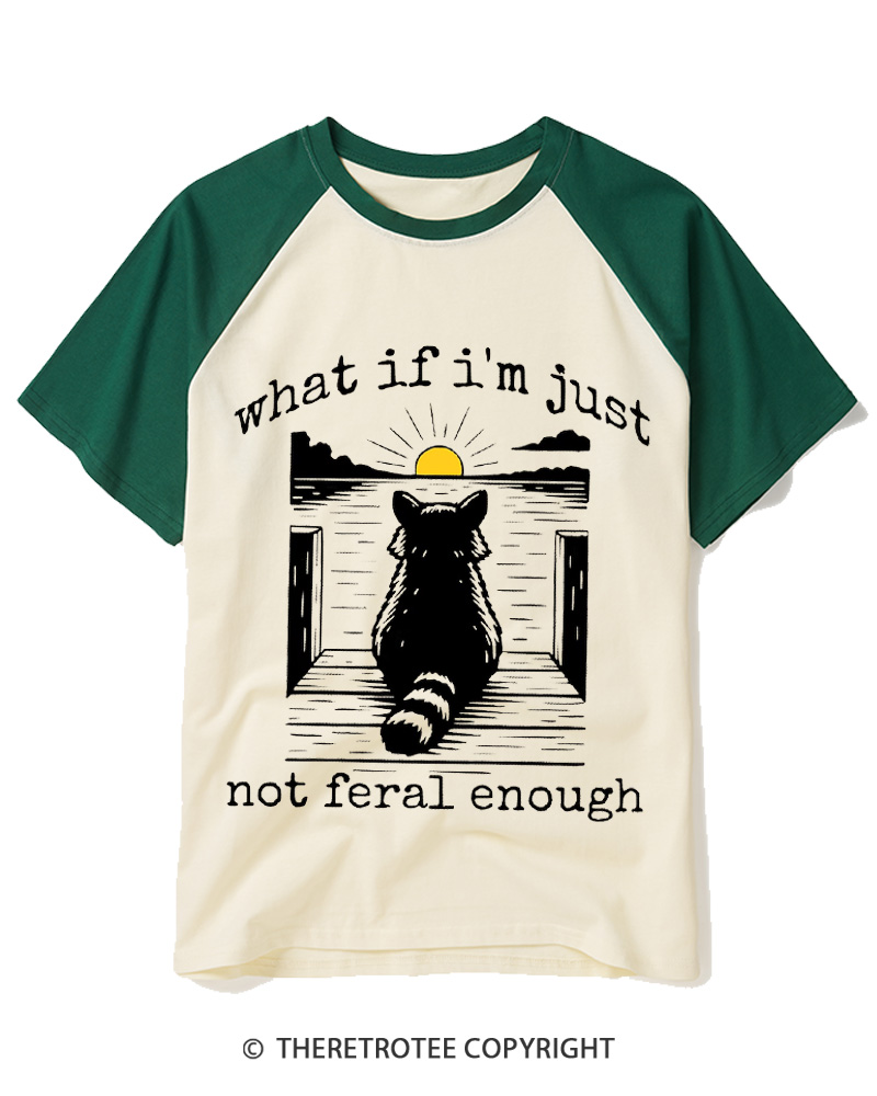 TheRetroTee What If I'm Not Enough Raccoon Meme Raglan Baseball T-Shirt