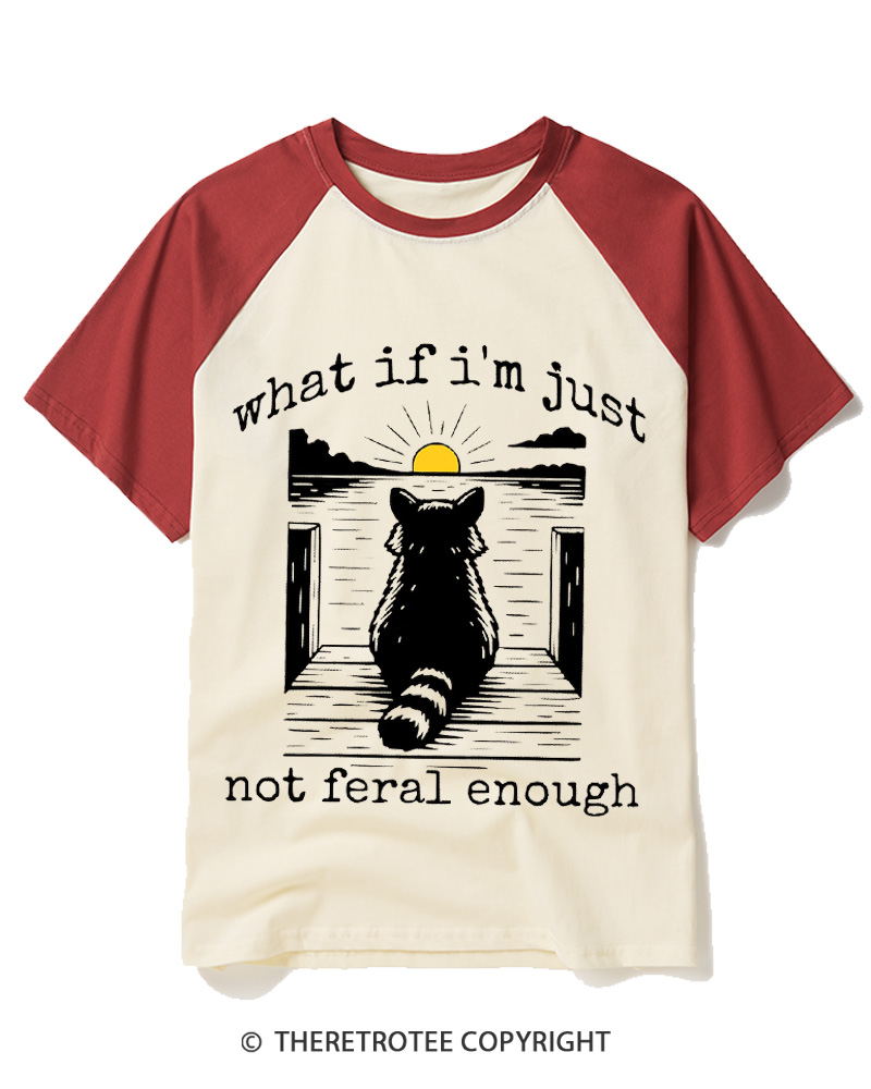 TheRetroTee What If I'm Not Enough Raccoon Meme Raglan Baseball T-Shirt