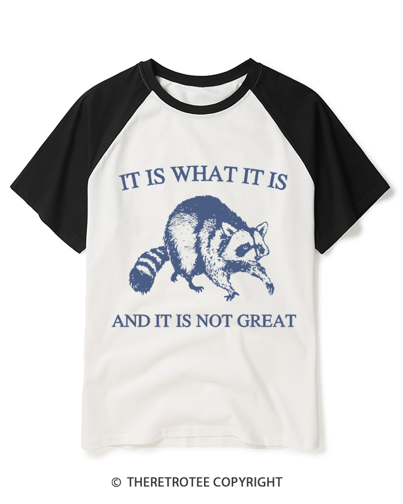 TheRetroTee It Is What It Is Baby 1990s Raglan Baseball T-Shirt