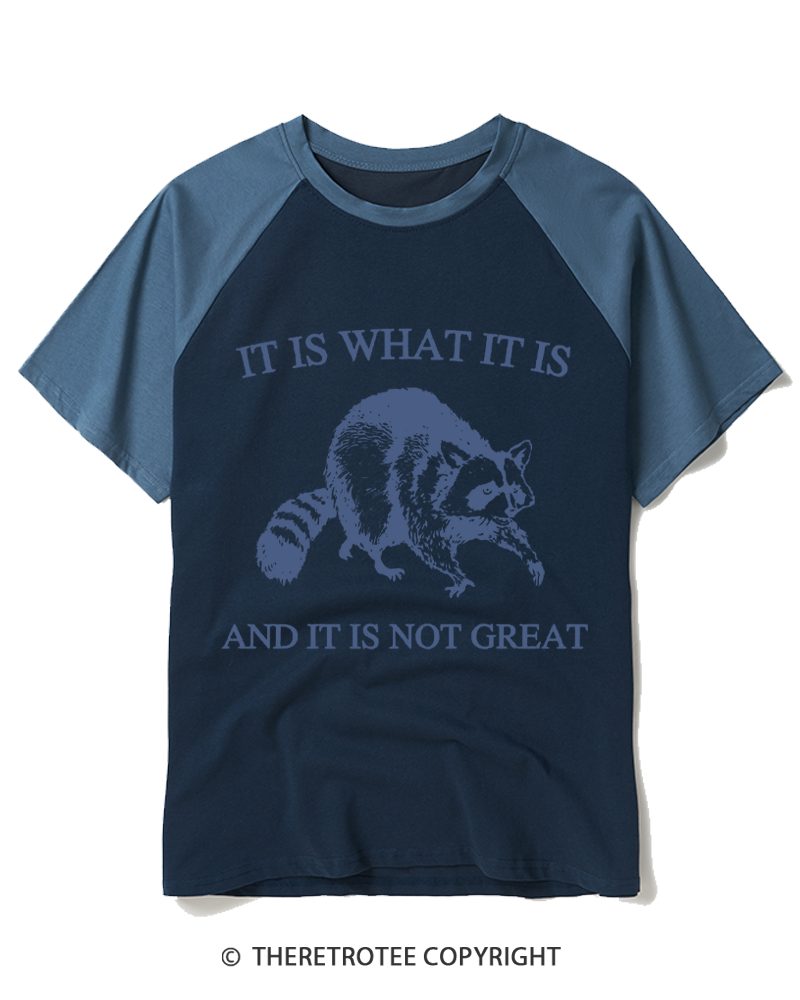 TheRetroTee It Is What It Is Baby 1990s Raglan Baseball T-Shirt