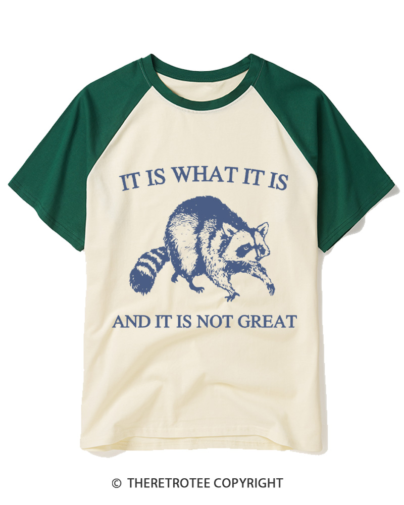 TheRetroTee It Is What It Is Baby 1990s Raglan Baseball T-Shirt
