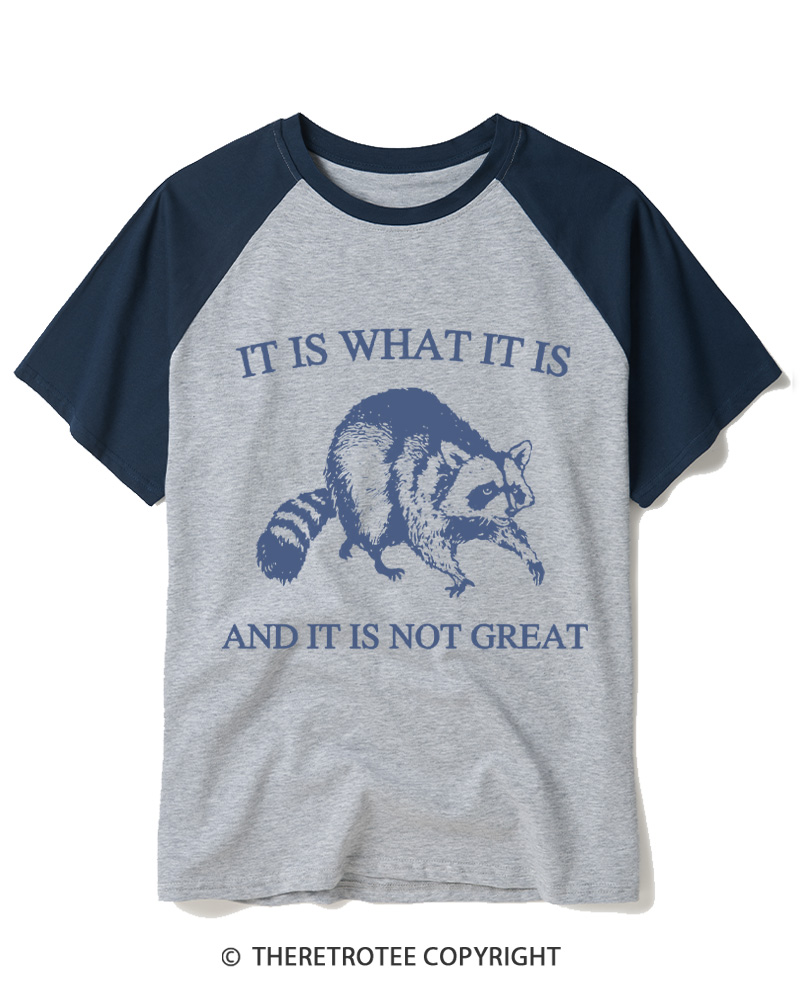 TheRetroTee It Is What It Is Baby 1990s Raglan Baseball T-Shirt