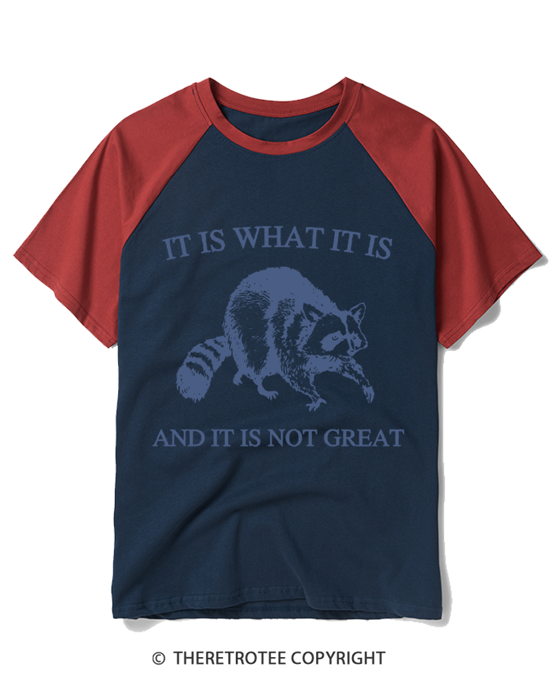 TheRetroTee It Is What It Is Baby 1990s Raglan Baseball T-Shirt
