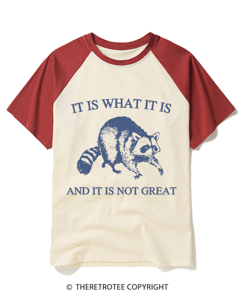 TheRetroTee It Is What It Is Baby 1990s Raglan Baseball T-Shirt