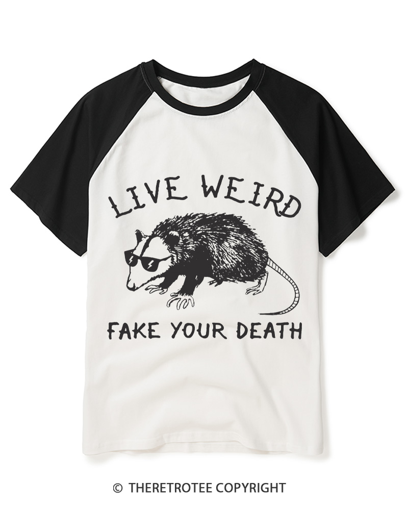 TheRetroTee Funny Possum 1970s Raglan Baseball T-Shirt