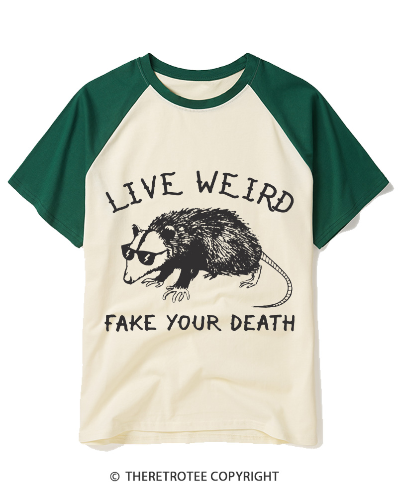 TheRetroTee Funny Possum 1970s Raglan Baseball T-Shirt