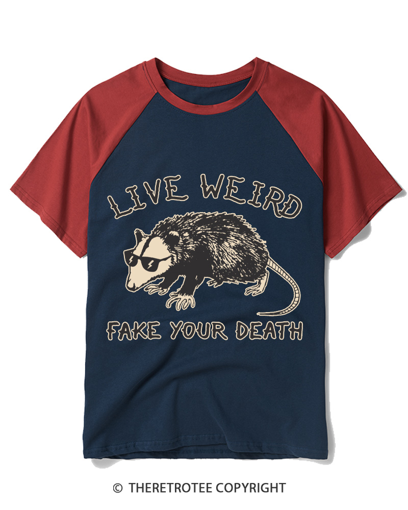 TheRetroTee Funny Possum 1970s Raglan Baseball T-Shirt