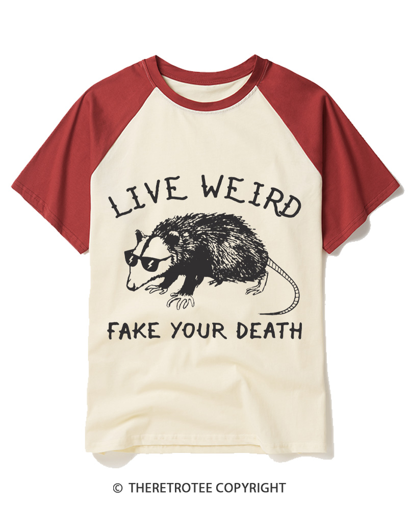 TheRetroTee Funny Possum 1970s Raglan Baseball T-Shirt