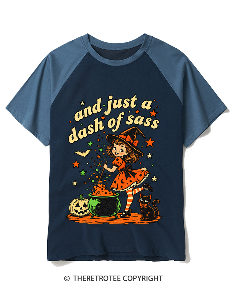 TheRetroTee And Just A Dash Of Sass 1950s Raglan Baseball T-Shirt