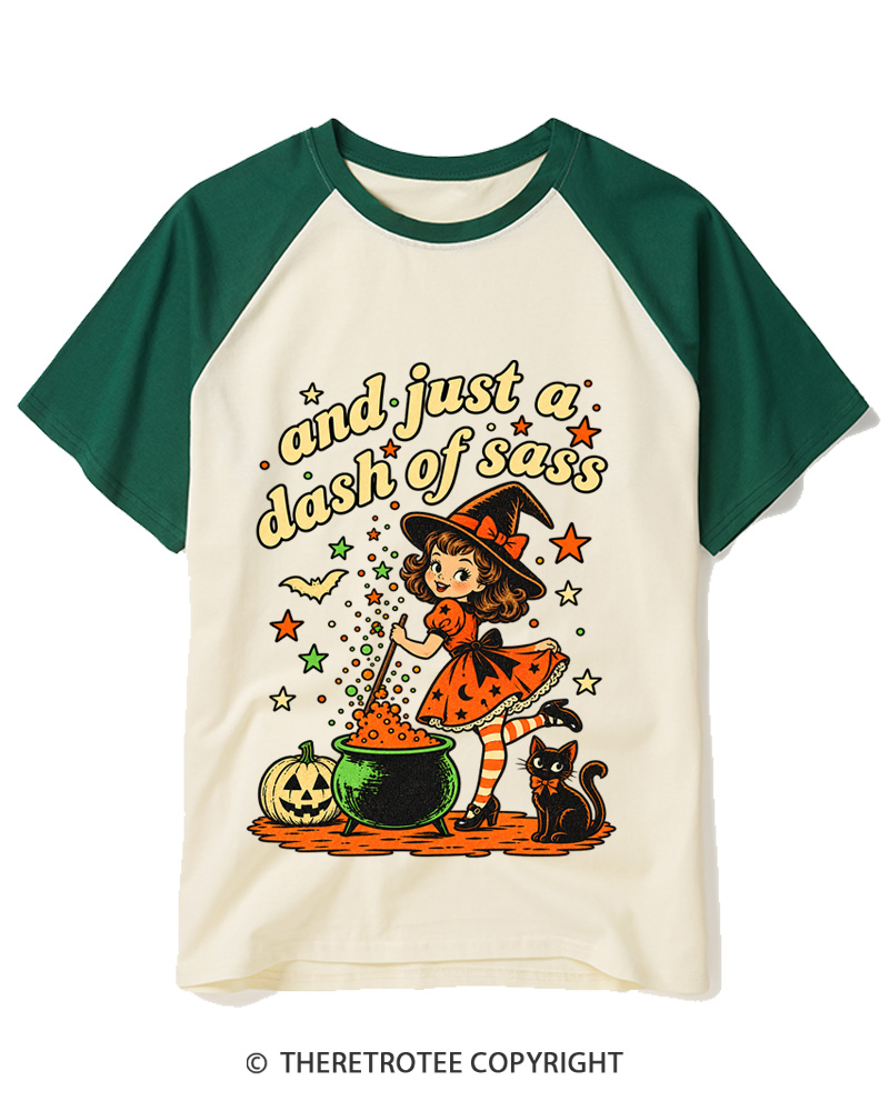 TheRetroTee And Just A Dash Of Sass 1950s Raglan Baseball T-Shirt