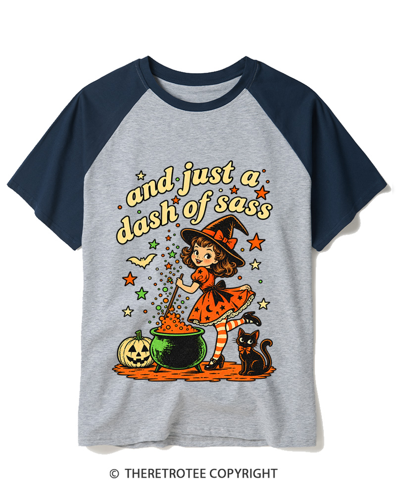 TheRetroTee And Just A Dash Of Sass 1950s Raglan Baseball T-Shirt