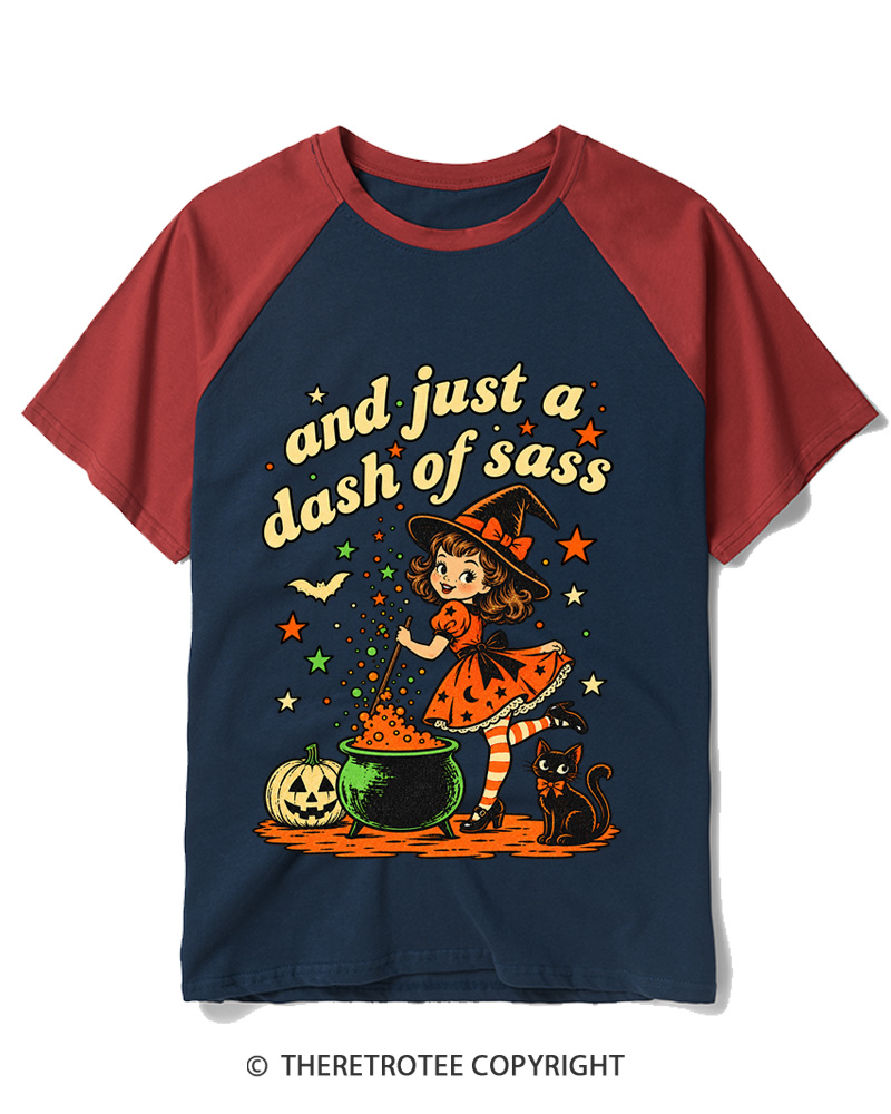TheRetroTee And Just A Dash Of Sass 1950s Raglan Baseball T-Shirt