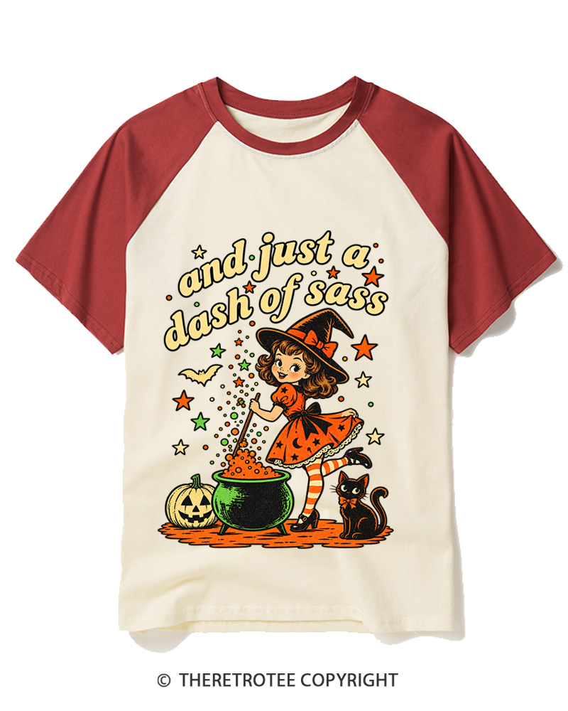 TheRetroTee And Just A Dash Of Sass 1950s Raglan Baseball T-Shirt