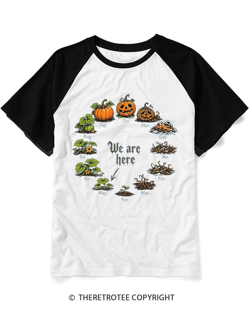 TheRetroTee Pumpkin Life Cycle 1980s Raglan Baseball T-Shirt