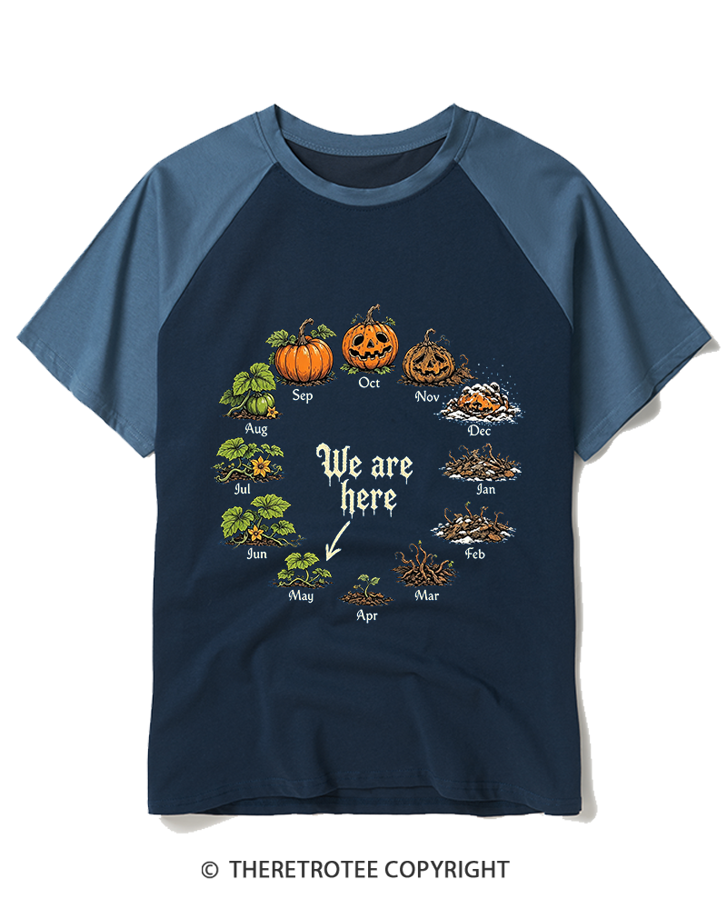 TheRetroTee Pumpkin Life Cycle 1980s Raglan Baseball T-Shirt