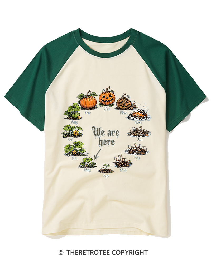 TheRetroTee Pumpkin Life Cycle 1980s Raglan Baseball T-Shirt