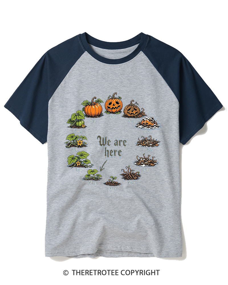 TheRetroTee Pumpkin Life Cycle 1980s Raglan Baseball T-Shirt