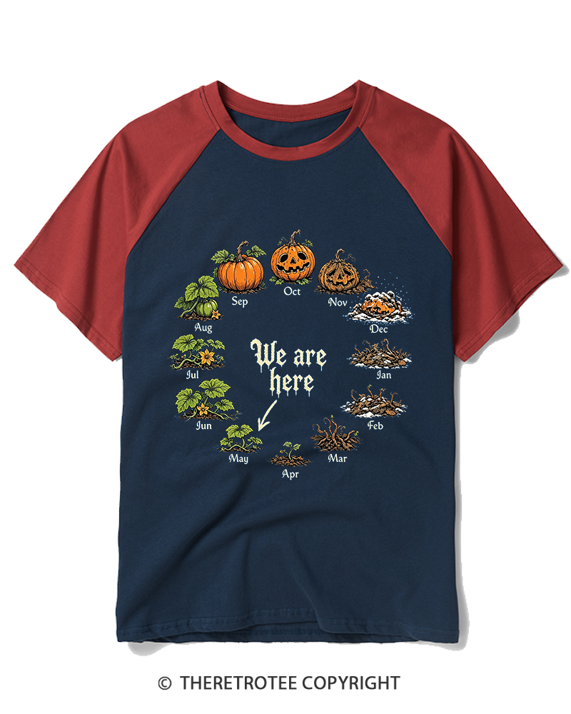 TheRetroTee Pumpkin Life Cycle 1980s Raglan Baseball T-Shirt