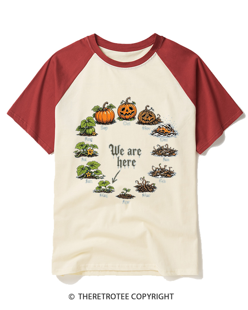 TheRetroTee Pumpkin Life Cycle 1980s Raglan Baseball T-Shirt