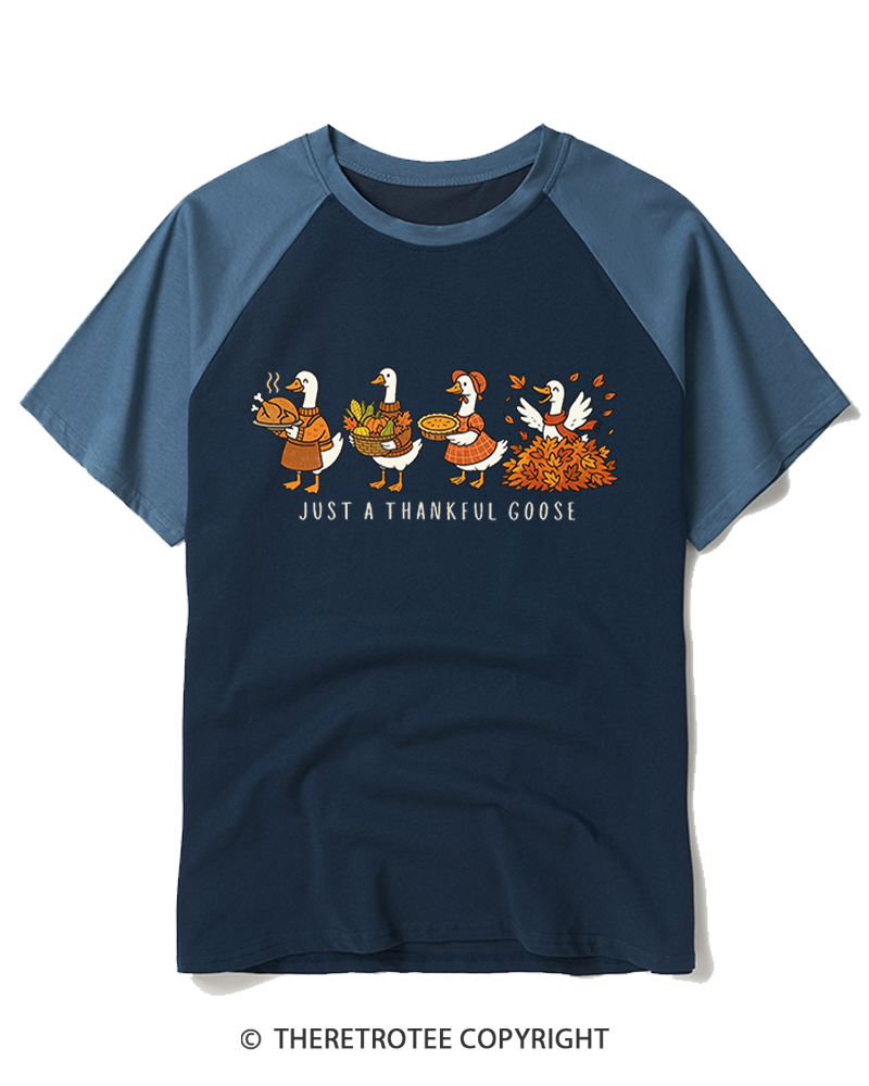 TheRetroTee Just a Thankful Goose 1980s Raglan Baseball T-Shirt