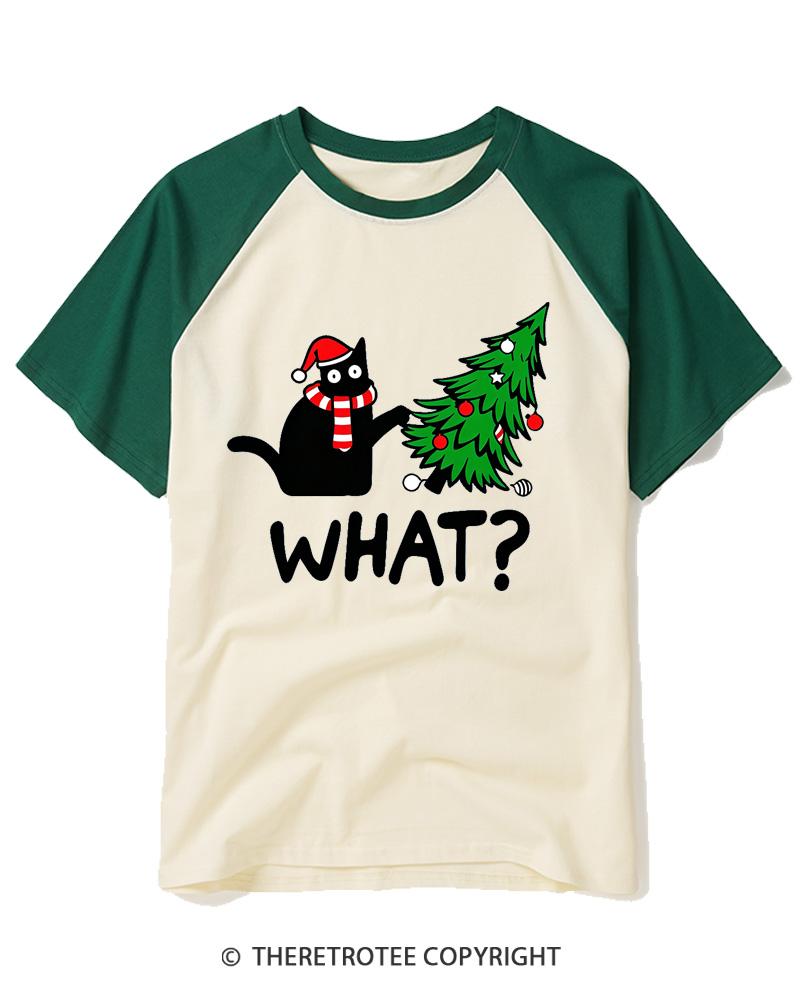 TheRetroTee What 2000s Raglan Baseball T-Shirt