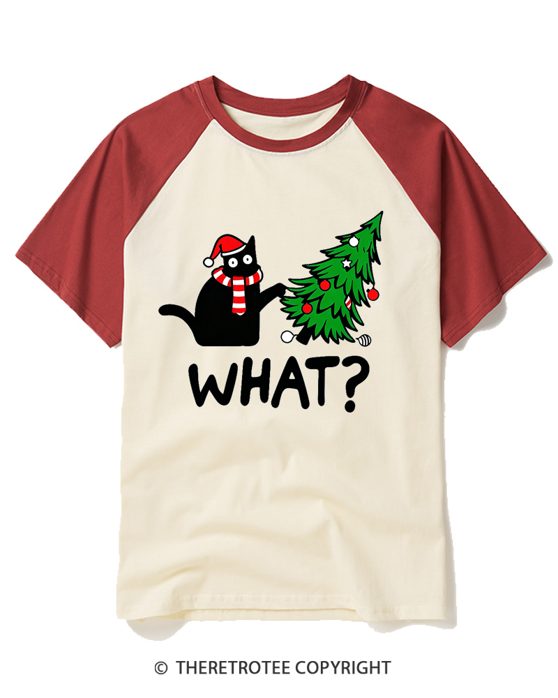 TheRetroTee What 2000s Raglan Baseball T-Shirt