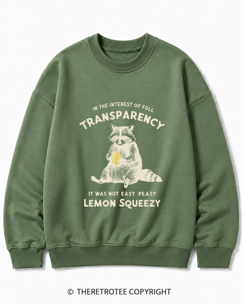 TheRetroTee It Was Not Easy Peasy Lemon Squeezy Raccoon 1970s Cotton Sweatshirt
