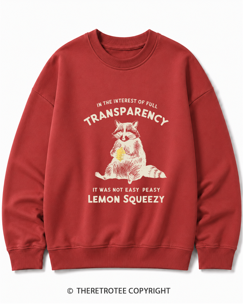 TheRetroTee It Was Not Easy Peasy Lemon Squeezy Raccoon 1970s Cotton Sweatshirt