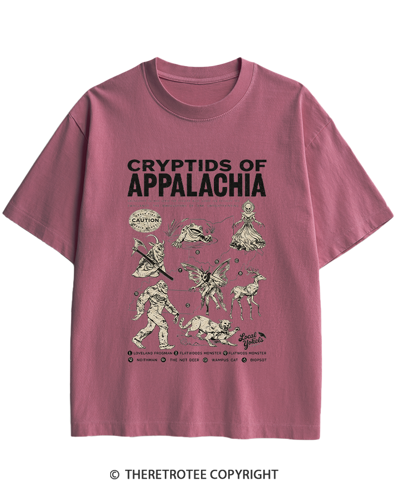 TheRetroTee Cryptids of Appalachia 1970s Heavy Cotton T-Shirt